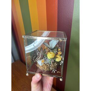 Vintage glass brass real butterflys display decor cottagcore taxidermy -CRACKED